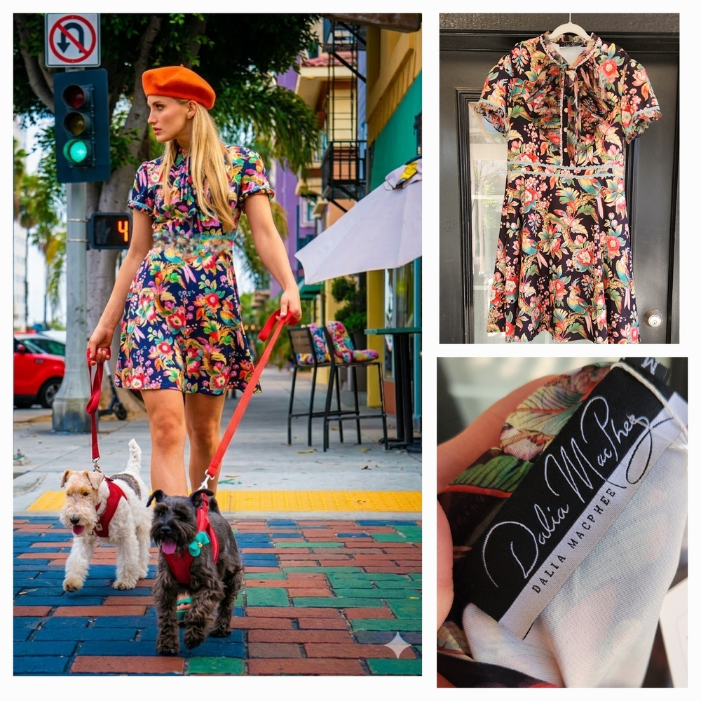 Floral Short-Sleeve Fit & Flare Dress in Black Floral